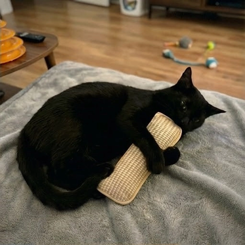 Catnip Chew Toy